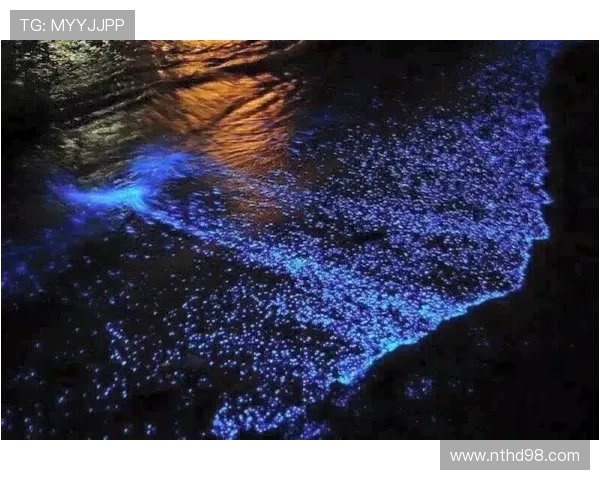 90分钟的眼泪，100%的治愈，春风物语2：彩虹色的玻璃，原来这就是青春