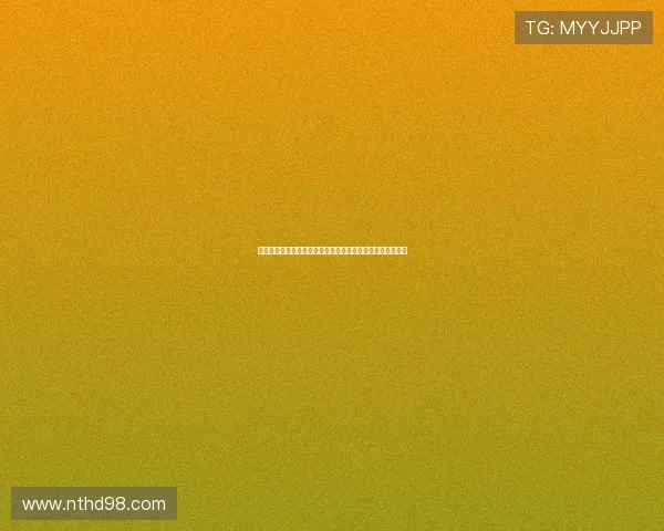 穿越时光的浪漫：金龟车贺比，一段回荡在车轮上的国语情歌